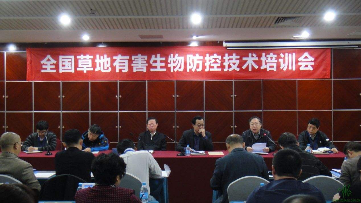 ����ȫ��(gu��)�ݵ��к�������ؼ��g(sh��)��Ӗ(x��n)